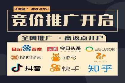 某电商平台的SEM优化托管实践与效果评估
